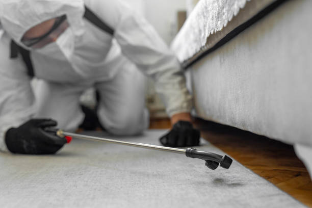 Professional Cockroach Control technician working in Sparta, MI