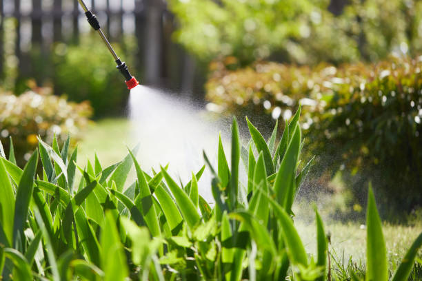 24/7 Emergency Cockroach Control experts in Sparta, MI